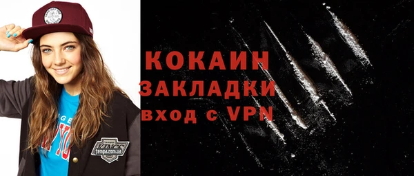 шишки Абинск