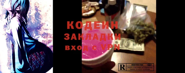 ГАЛЛЮЦИНОГЕННЫЕ ГРИБЫ Абаза